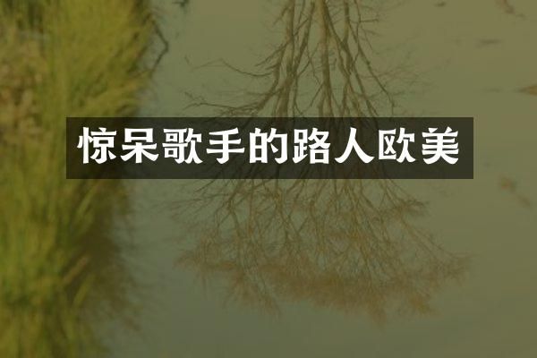 惊呆歌手的路人欧美