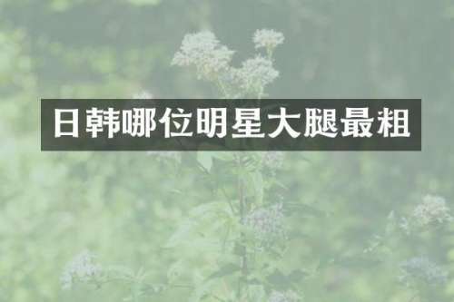 日韩哪位明星大腿最粗