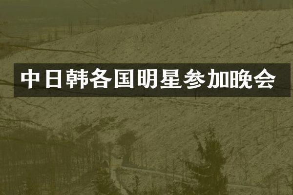 中日韩各国明星参加晚会