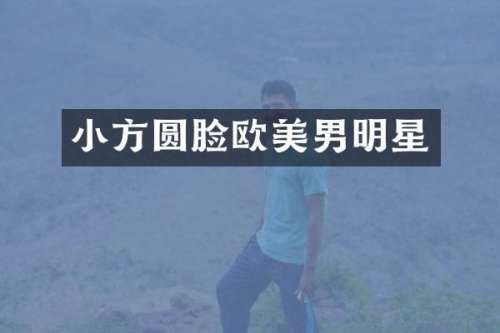 小方圆脸欧美男明星