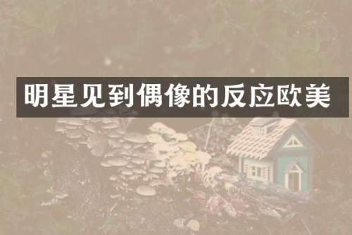 明星见到偶像的反应欧美