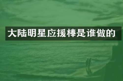 大陆明星应援棒是谁做的
