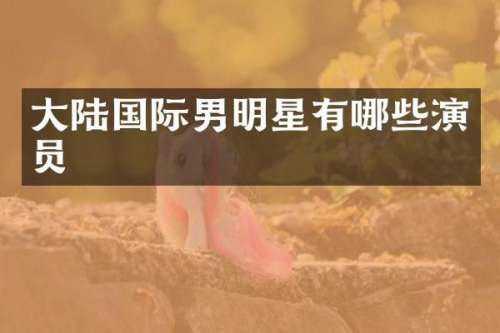 大陆国际男明星有哪些演员