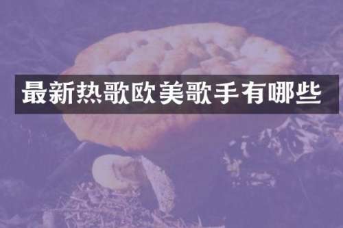 最新热歌欧美歌手有哪些