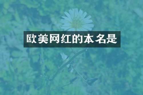 欧美网红的本名是