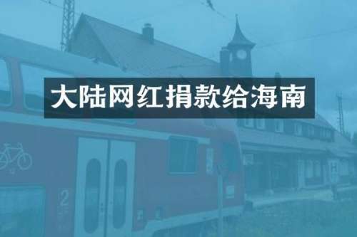 大陆网红捐款给海南