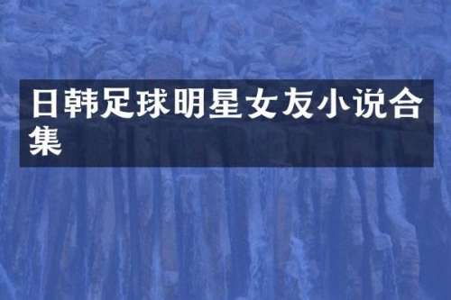 日韩足球明星女友小说