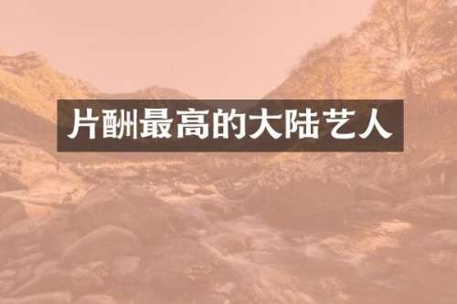 片酬最高的大陆艺人