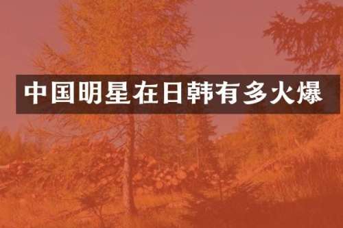 中国明星在日韩有多火爆