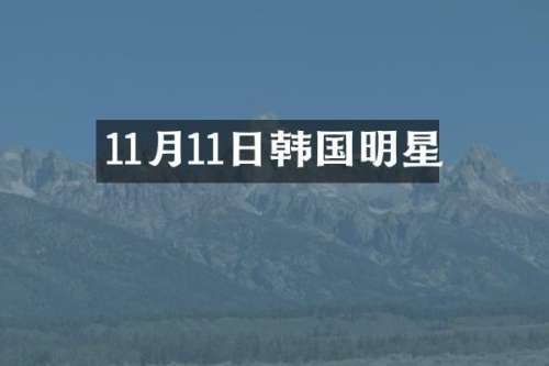 11月11日韩国明星