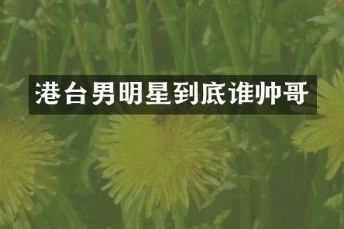 港台男明星到底谁帅哥