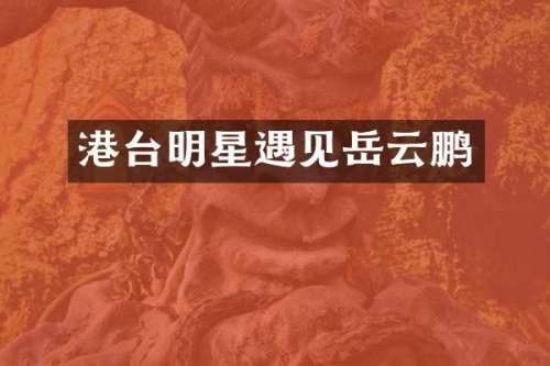 港台明星遇见岳云鹏