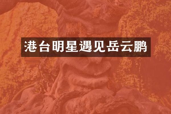 港台明星遇见岳云鹏