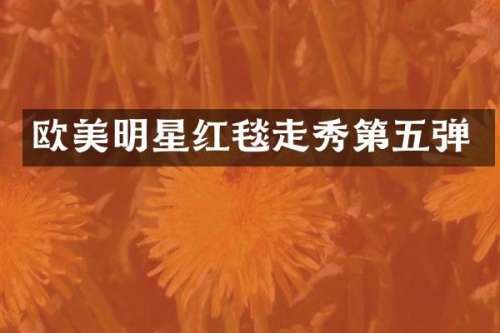 欧美明星红毯走秀第五弹