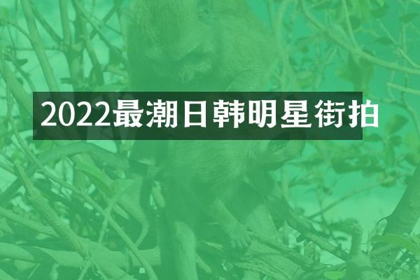 2022最潮日韩明星街拍