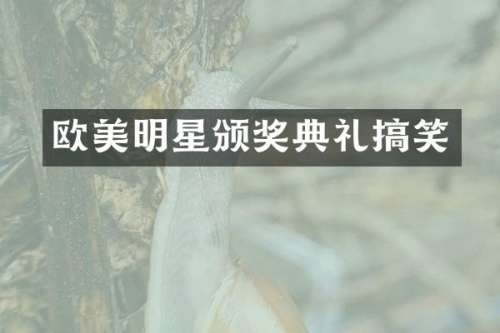 欧美明星颁奖典礼搞笑
