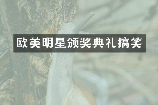 欧美明星颁奖典礼搞笑