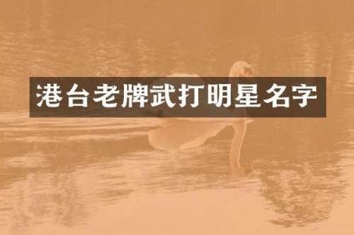 港台老牌武打明星名字