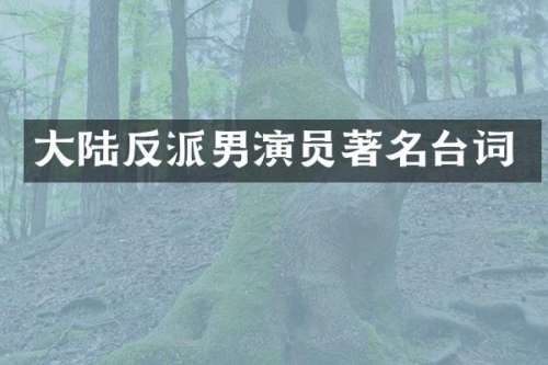 大陆反派男演员著名台词