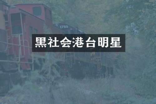 黑社会港台明星