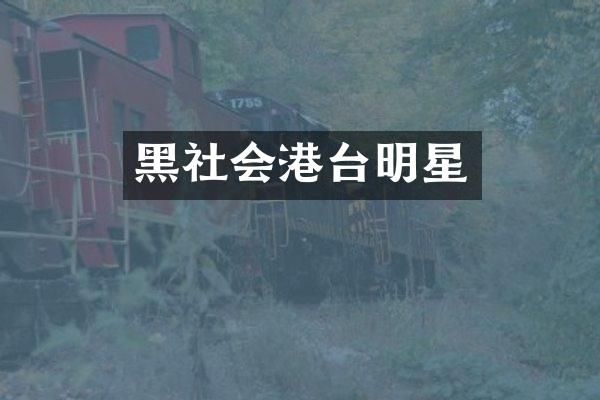 黑社会港台明星