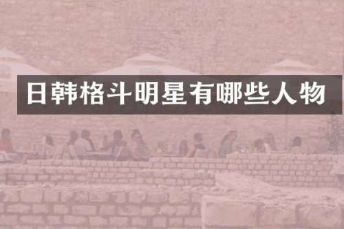 日韩格斗明星有哪些人物