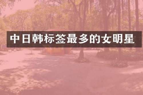 中日韩标签最多的女明星