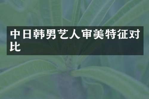 中日韩男艺人审美特征对比