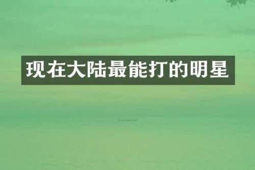 现在大陆最能打的明星