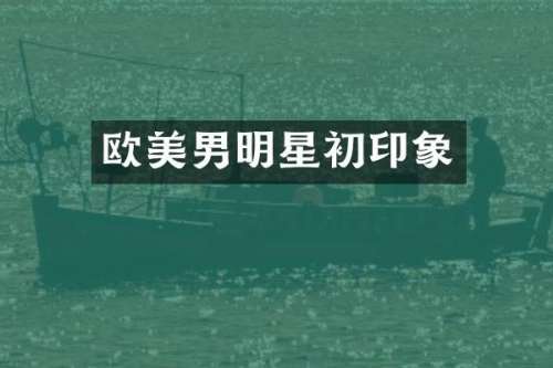 欧美男明星初印象