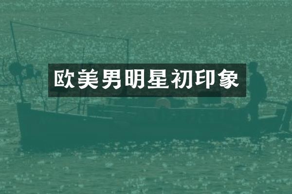 欧美男明星初印象