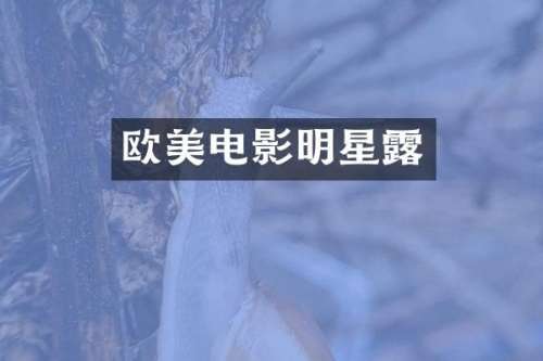欧美电影明星
