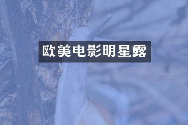 欧美电影明星