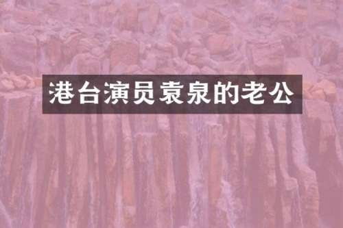 港台演员袁泉的老公
