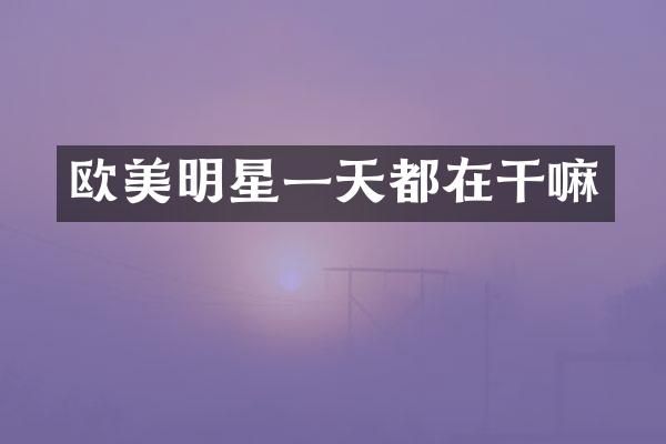欧美明星一天都在干嘛