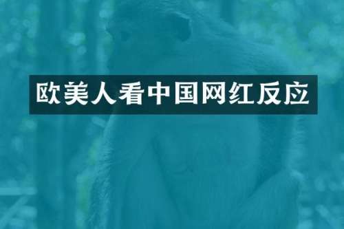 欧美人看中国网红反应