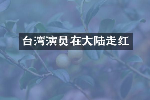 台湾演员在大陆走红