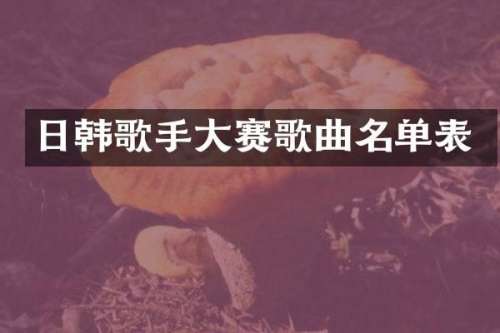日韩歌手大赛歌曲名单表