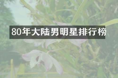 80年大陆男明星排行榜
