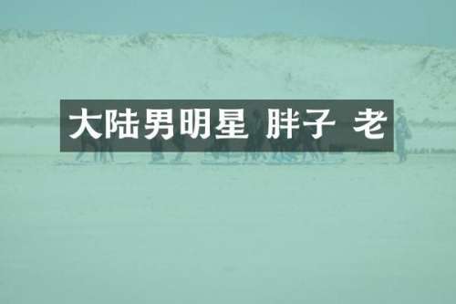 大陆男明星 胖子 老
