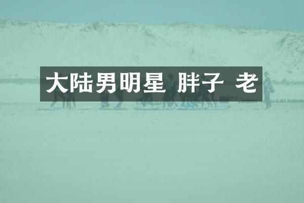 大陆男明星 胖子 老