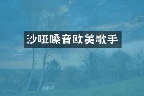 沙哑嗓音欧美歌手