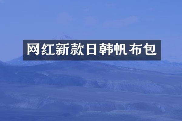 网红新款日韩帆布包