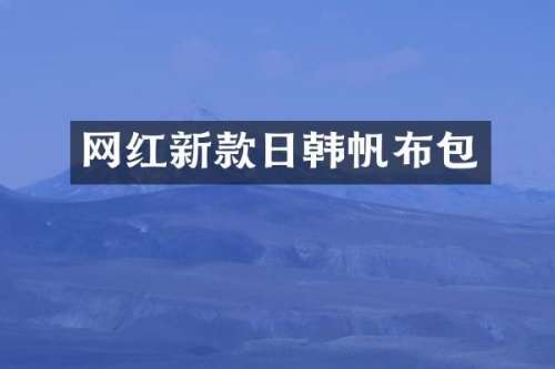 网红新款日韩帆布包