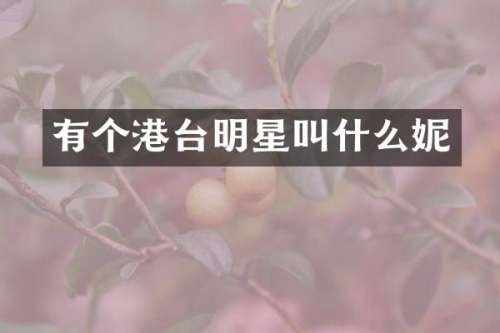 有个港台明星叫什么妮