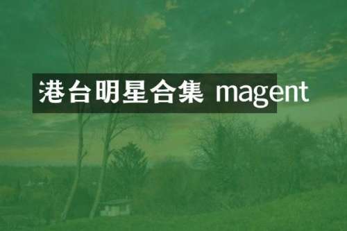 港台明星 magent