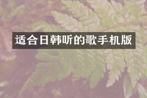 适合日韩听的歌手机版