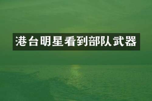 港台明星看到部队武器