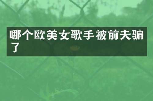 哪个欧歌手被前夫骗了