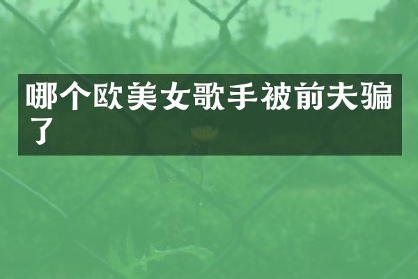 哪个欧歌手被前夫骗了